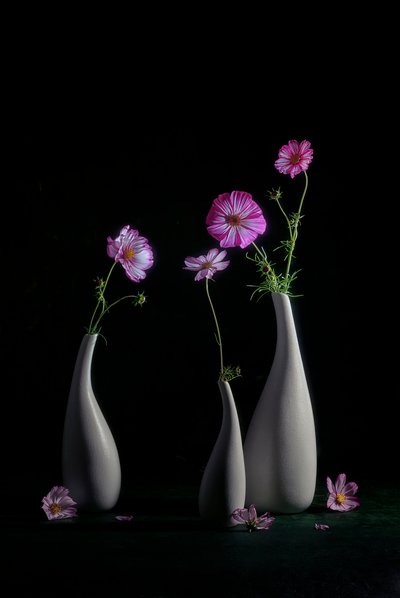 von Lydia Jacobs