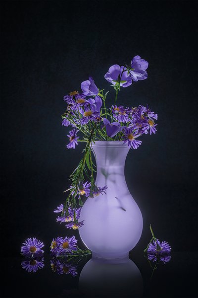  von Lydia Jacobs