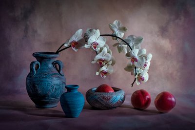 Elegantes Orchideen-Stillleben von Lydia Jacobs