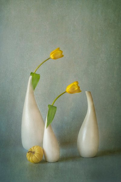  von Lydia Jacobs