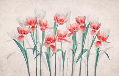 Ätherische Rosa Tulpen von Lydia Jacobs