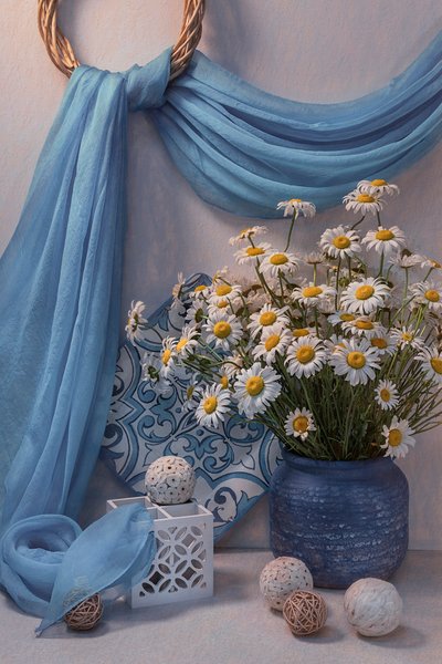 Frisches blaues Gänseblümchen Stillleben von Lydia Jacobs