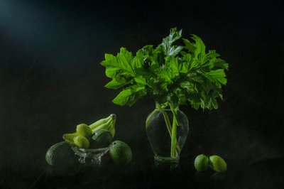Üppiges botanisches Stillleben von Lydia Jacobs