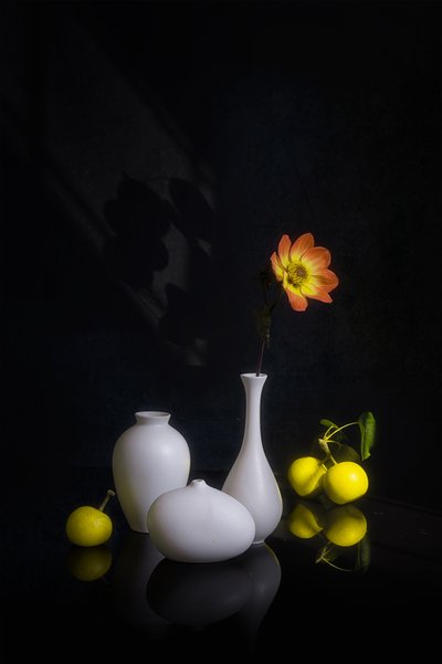  von Lydia Jacobs
