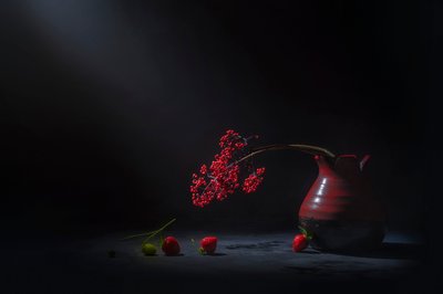 Stimmungsvolle rote Beeren von Lydia Jacobs