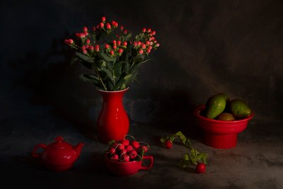 Stimmungsvolles rotes Stillleben von Lydia Jacobs