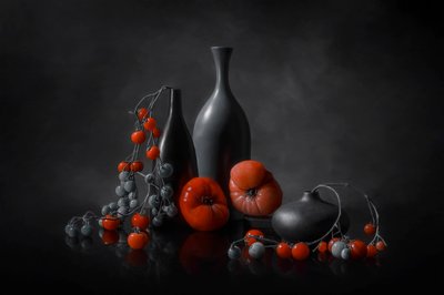  von Lydia Jacobs