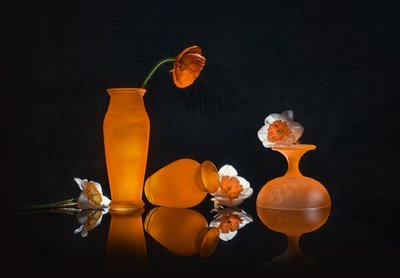  von Lydia Jacobs