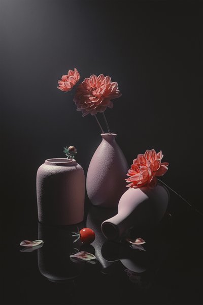  von Lydia Jacobs