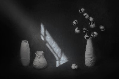  von Lydia Jacobs