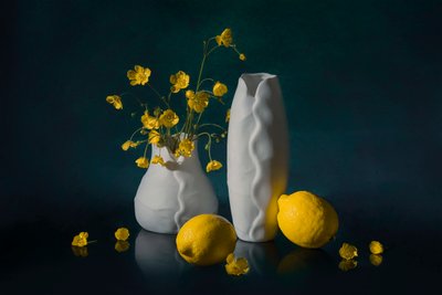  von Lydia Jacobs