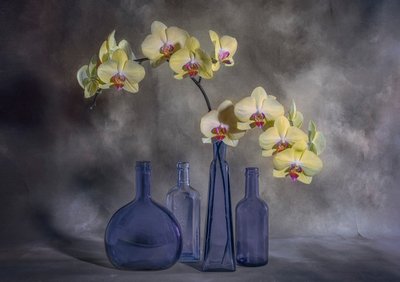 Gelbe Orchideen und blaues Glas von Lydia Jacobs