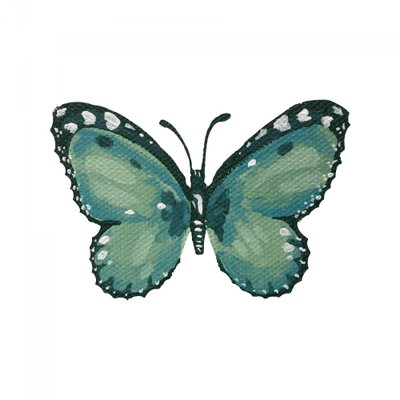 Eleganter türkisfarbener Schmetterling von Madison Phipps