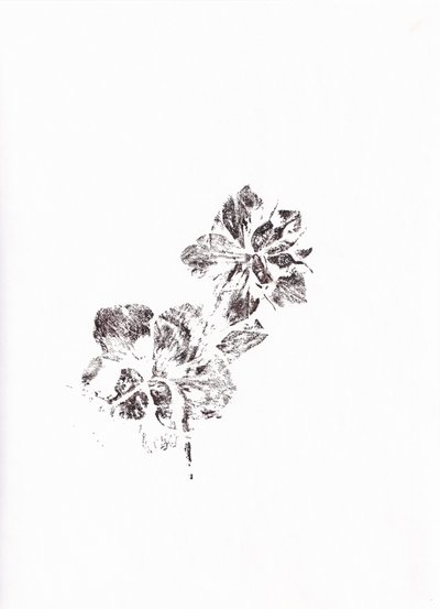 Abstrakte Blumenabdrücke von Maira Ribena