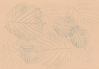 Botanisches Blattmuster von Maira Ribena