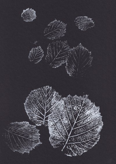 Botanische Blattdrucke von Maira Ribena