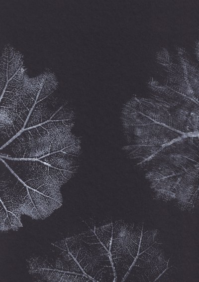 Monochrome Blatttexturen von Maira Ribena
