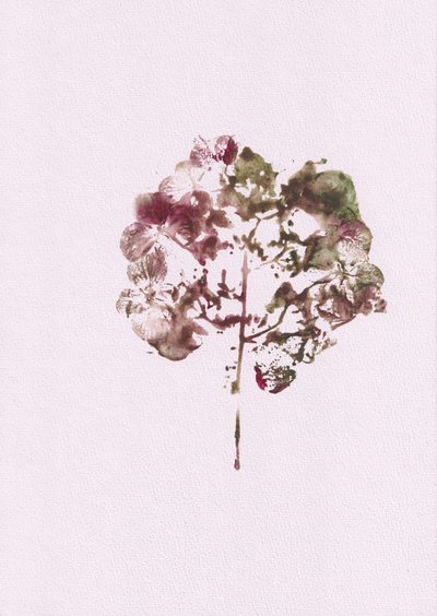 Gedämpfte Botanische Impression von Maira Ribena
