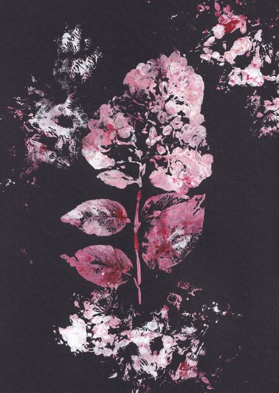 Rosa botanischer Eindruck von Maira Ribena