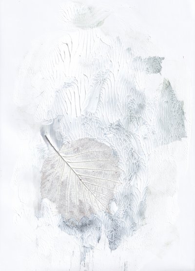 Subtile botanische Impression von Maira Ribena