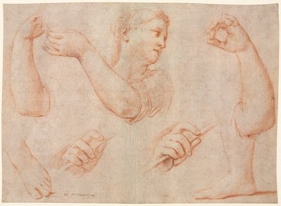 Studie einer jungen Frau, die ein Tamburin spielt, und Studien eines Arms, Hände und Füße (Studien für "Miriam führt den Chor der Frauen, die für die Niederlage des Pharao danken") von Marcantonio Franceschini