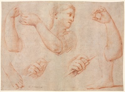 Studie einer jungen Frau, die ein Tamburin spielt, und Studien eines Arms, Hände und Füße, ca. 1711 von Marcantonio Franceschini