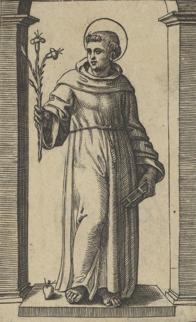 Der heilige Antonius von Padua stehend, Lilien in seiner erhobenen rechten Hand, ein Buch in seiner Hand von Marcantonio Raimondi