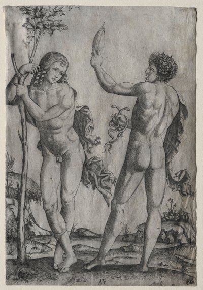 Zwei nackte Männer neben einem Baum von Marcantonio Raimondi