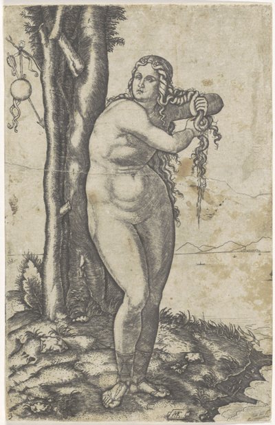 Venus steht am Wasser und wringt ihr Haar aus von Marcantonio Raimondi
