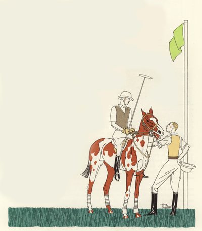Polo von Marcel Jacques Hemjik