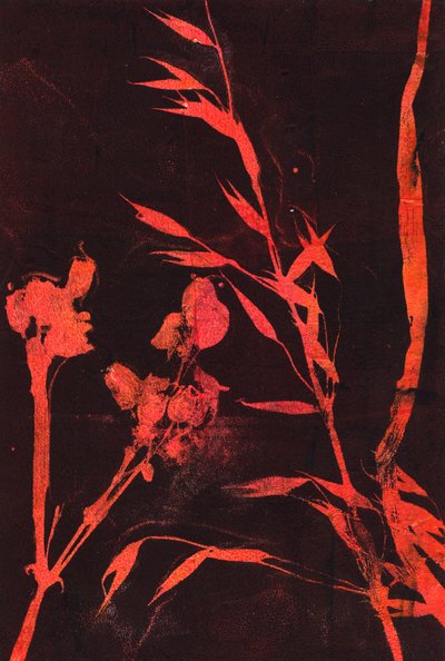 Rote Blätter, 2024 von Marco Campedelli
