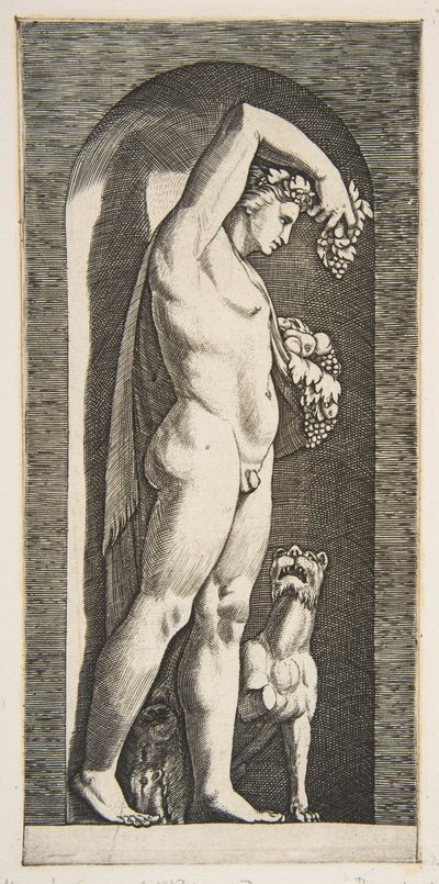 Bacchus steht in einer Nische und hält Trauben in seiner erhobenen rechten Hand, Früchte in seiner linken, ca. 1515-27 von Marco Dente