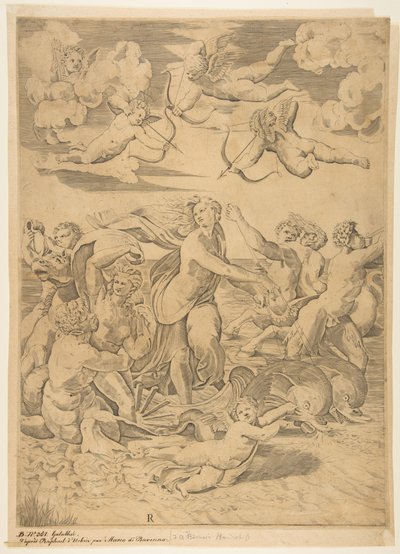 Galatea reitet in einer Muschel, gezogen von Delfinen, ein Amor darunter, ca. 1515-27 von Marco Dente