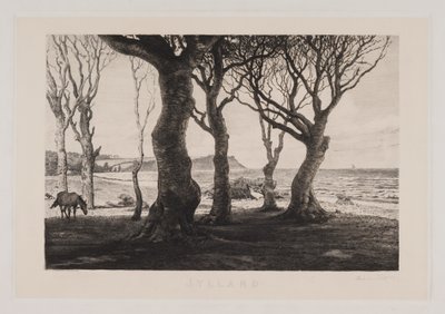 Jütländische Landschaft von Marcus Bech Fritz