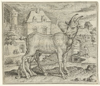 Fabel von der Ziege und dem jungen Wolf von Marcus Gheeraerts (I)