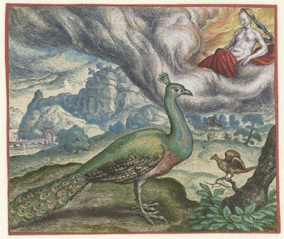 Fabel vom Pfau und der Nachtigall von Marcus Gheeraerts (I)