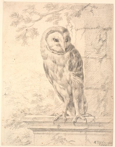 Baron von Stoschs Eule von Marcus Tuscher