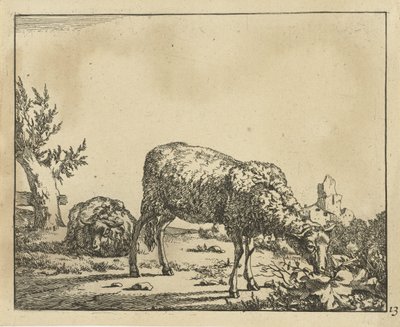 Weidendes Schaf und liegendes Schaf am Zaun von Marcus de Bye
