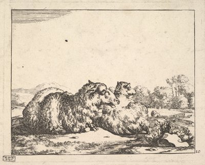 Schafe, aus einer Serie von 16 Platten, 1664 von Marcus de Bye