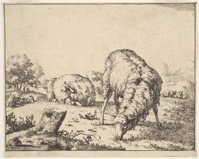 Schafe, aus einem Satz von 16 Platten, 1664 von Marcus de Bye