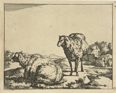 Stehendes und liegendes Schaf mit Bauernhof im Hintergrund von Marcus de Bye