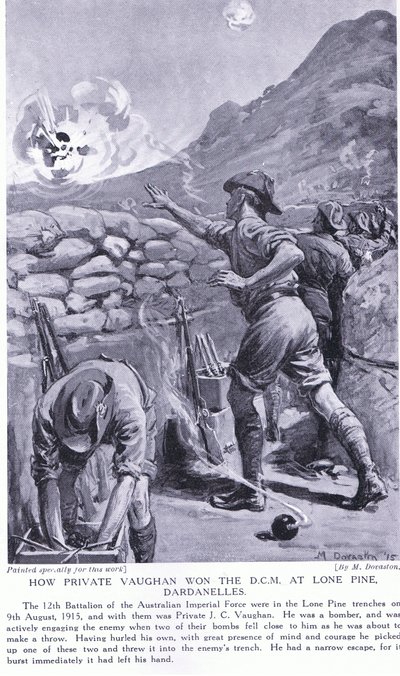 Wie Private Vaughan das DCM in Lone Pine Dardanellen August 1915 gewann von Margaret Dovaston