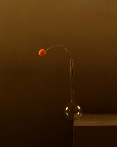 Minimalistische Orange Blume von Margaret Halaby