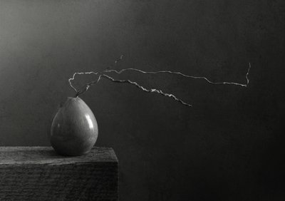 Monochrome Birne und Zweig von Margaret Halaby
