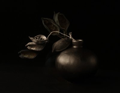 Stimmungsvolle Samenkapseln von Margaret Halaby