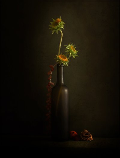 Stimmungsvolle Sonnenblume Stillleben von Margaret Halaby