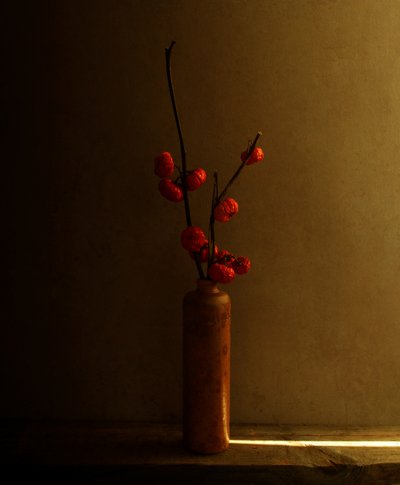 Rote Beeren Stillleben von Margaret Halaby