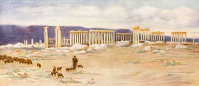 Gesamtansicht der Kolonnade, Palmyra von Margaret Thomas