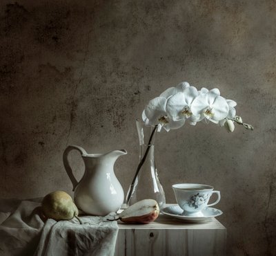 Elegantes Orchideen Stillleben von Margareth Perfoncio