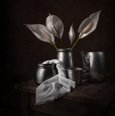 Elegante Friedenslilien von Margareth Perfoncio
